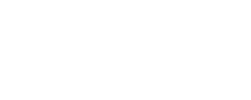 Dustbusters Mastery Services